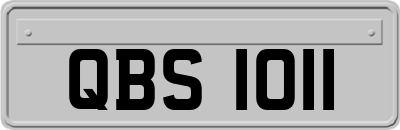 QBS1011