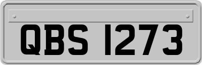 QBS1273