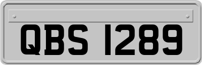 QBS1289