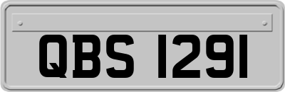 QBS1291
