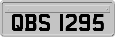 QBS1295
