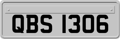 QBS1306