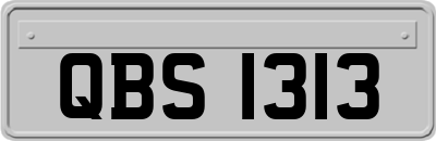 QBS1313