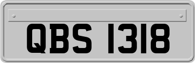 QBS1318