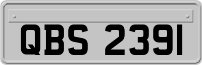 QBS2391