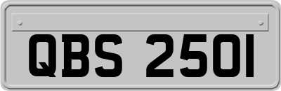 QBS2501