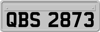 QBS2873