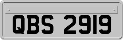 QBS2919