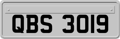 QBS3019