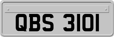QBS3101