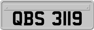 QBS3119