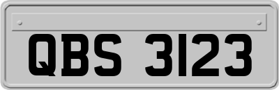 QBS3123