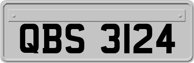 QBS3124