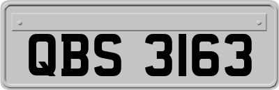 QBS3163