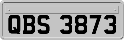QBS3873