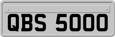 QBS5000