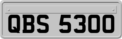 QBS5300