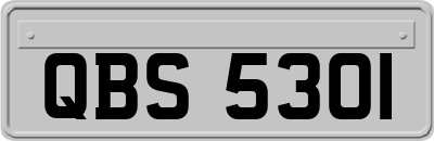 QBS5301