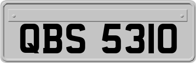 QBS5310