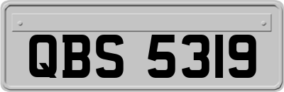 QBS5319