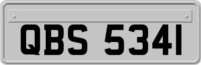 QBS5341