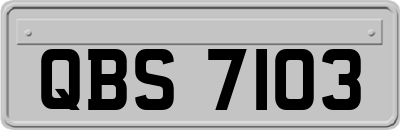 QBS7103