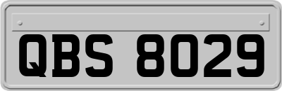 QBS8029