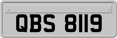QBS8119