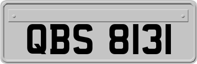 QBS8131