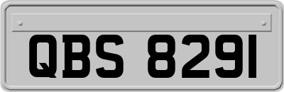QBS8291