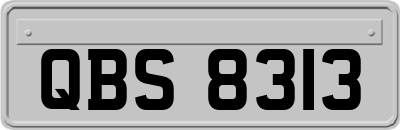 QBS8313