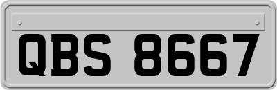 QBS8667