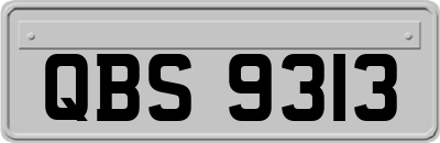 QBS9313