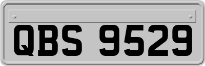 QBS9529