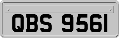 QBS9561
