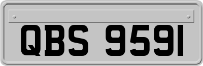 QBS9591
