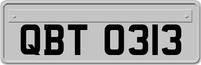 QBT0313
