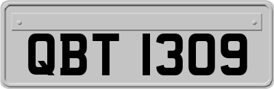 QBT1309