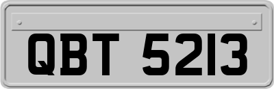QBT5213