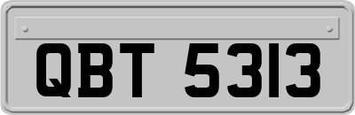 QBT5313