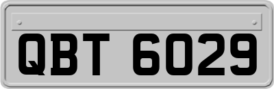 QBT6029