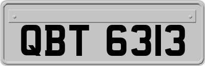 QBT6313