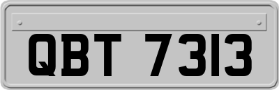 QBT7313