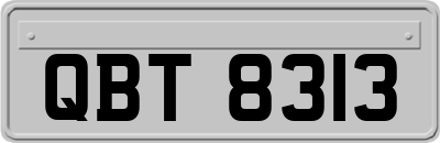 QBT8313