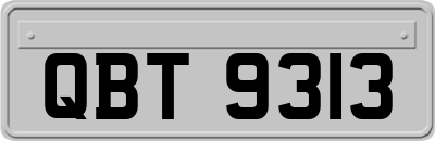QBT9313
