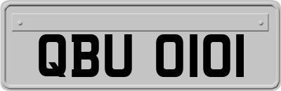 QBU0101