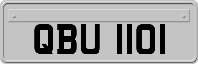 QBU1101