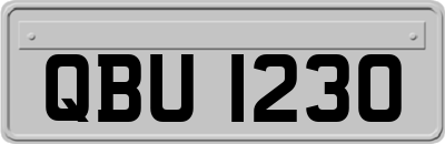 QBU1230