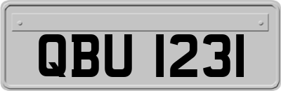 QBU1231