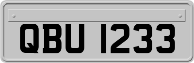 QBU1233